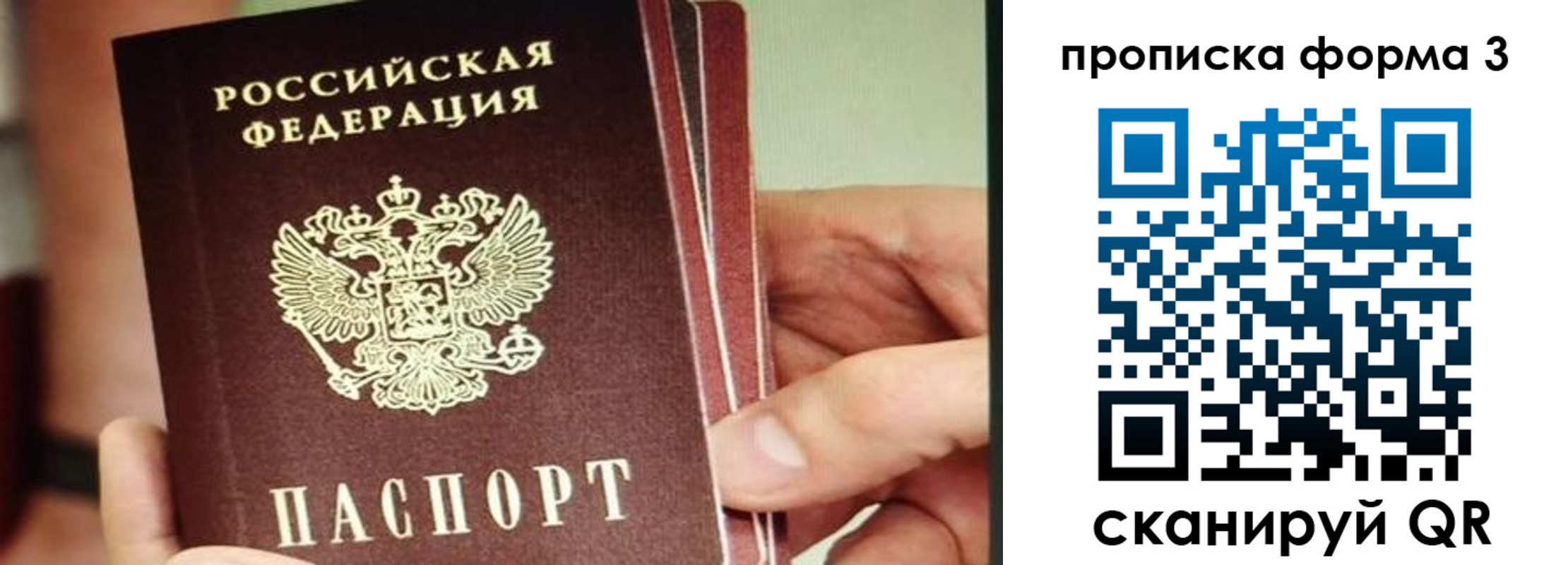 прописка законно в Благодарном